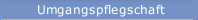 Umgangspflegschaft