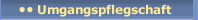 Umgangspflegschaft